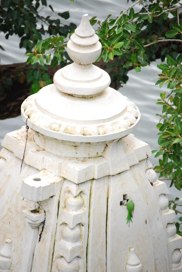 The Shaharkot By The Lake Hotel Udaipur Luaran gambar